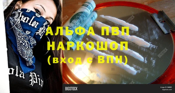 СК Вязьма