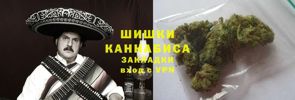 шишки Вяземский