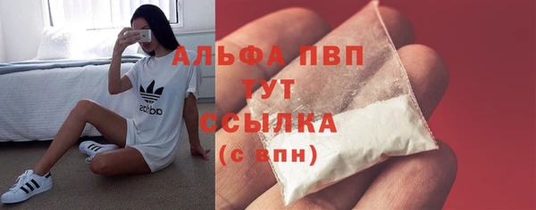 СК Вязьма