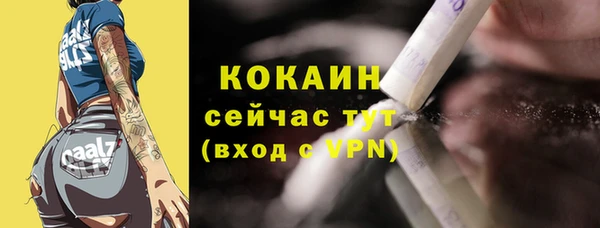 шишки Вяземский