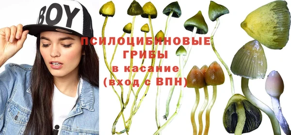 шишки Вяземский